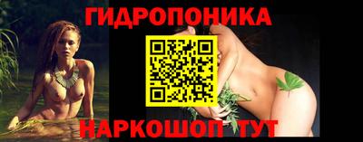 эйфоретик Гусь-Хрустальный