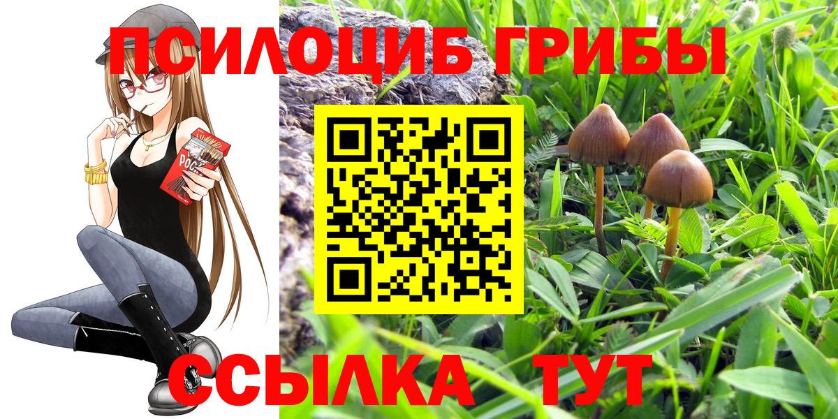 Псилоцибиновые грибы Psilocybine cubensis Люберцы